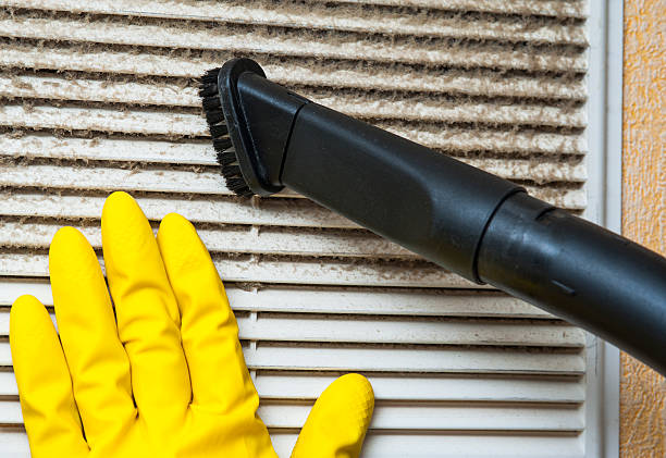Best Air Duct Sanitizing Services  in Locust Grove, GA